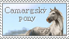 Camargský pony