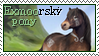 Exmoorský pony